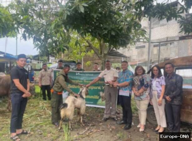 Liburan Sekolah & Idul Adha Meriah di Swiss-Belhotel Jayapura!