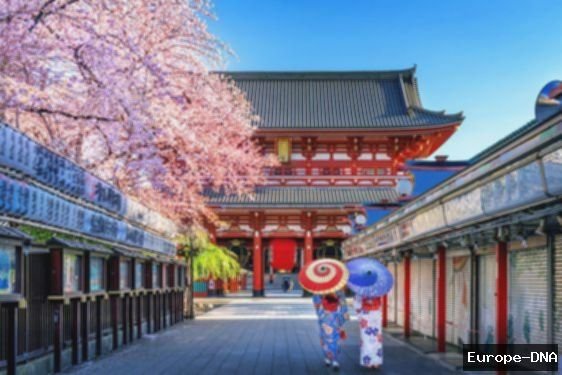 Jepang 5 Hari: Itinerary Tokyo & Trip Gunung Fuji