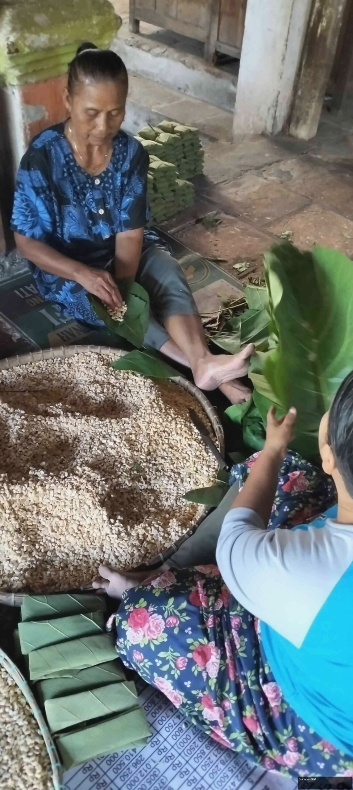 Omah Tempe Daun di Lasem