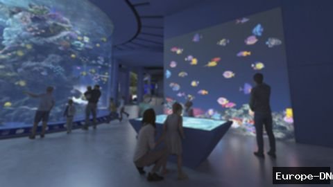 Oceanarium Singapura: Jelajahi Dunia Bawah Laut, Buka 24 Juli!