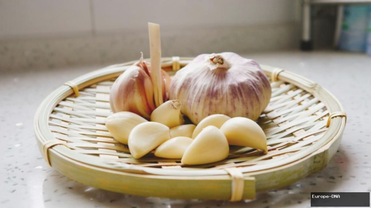 Rumah Bebas Serangga dengan 5 Bumbu Dapur Ini, Ramah Lingkungan!
