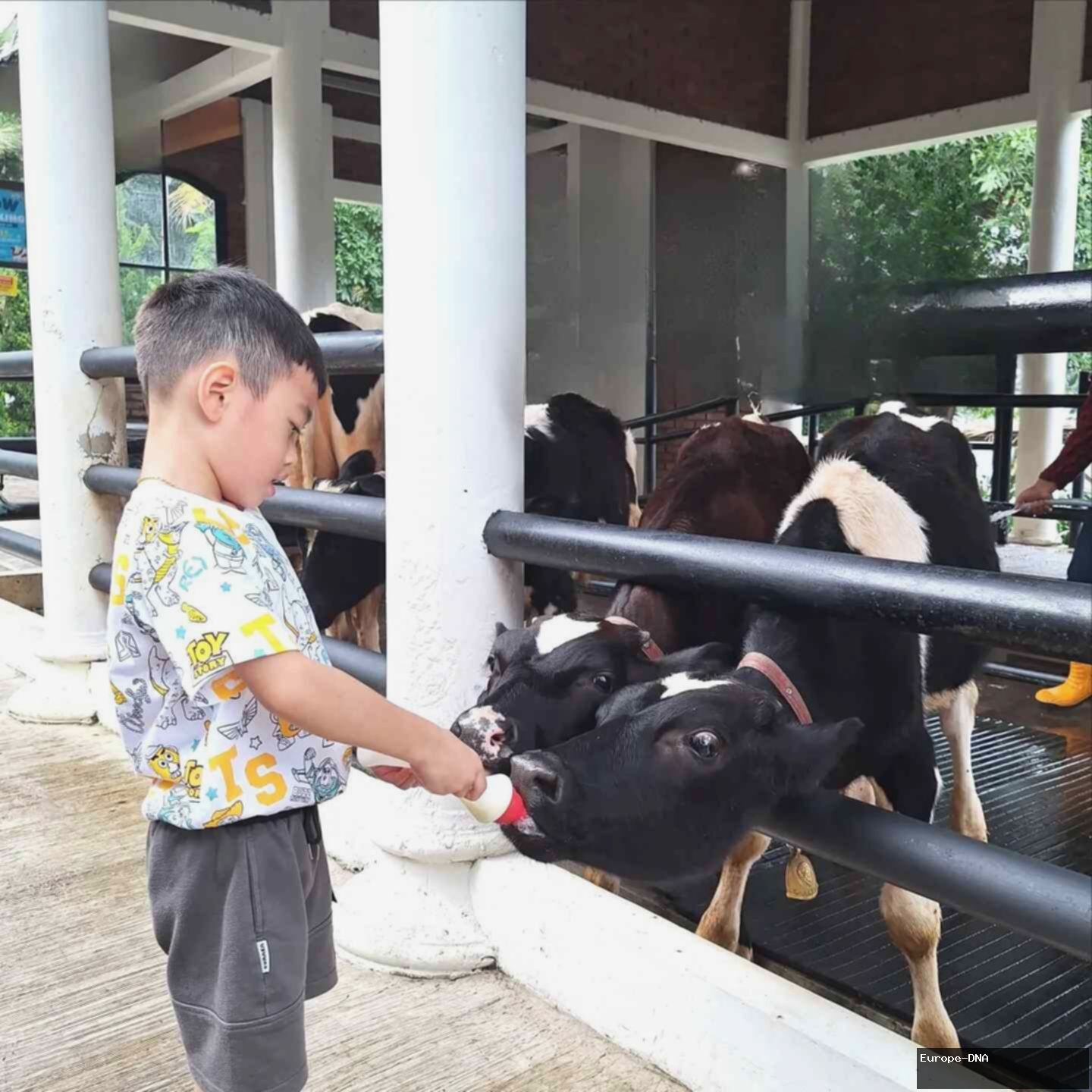 Liburan ke Cimory On The Valley: Tempat Wisata Ramah Anak di Semarang